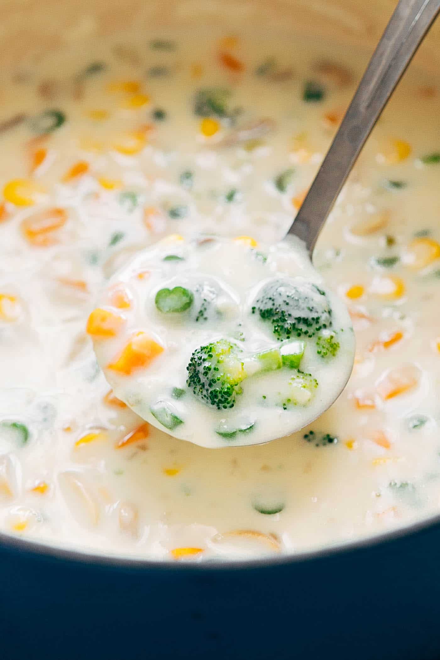 Homemade Creamy Vegetable Soup is an insanely delicious, creamy vegetable soup without any cream. Its perfect if you are looking for a vegetarian meal or just something light and easy.