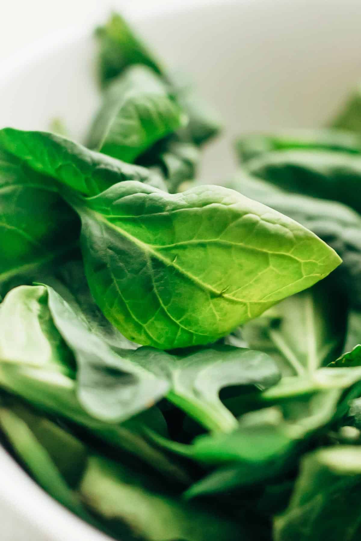Spinach leaves used in spinach mushroom stuffed chicken.