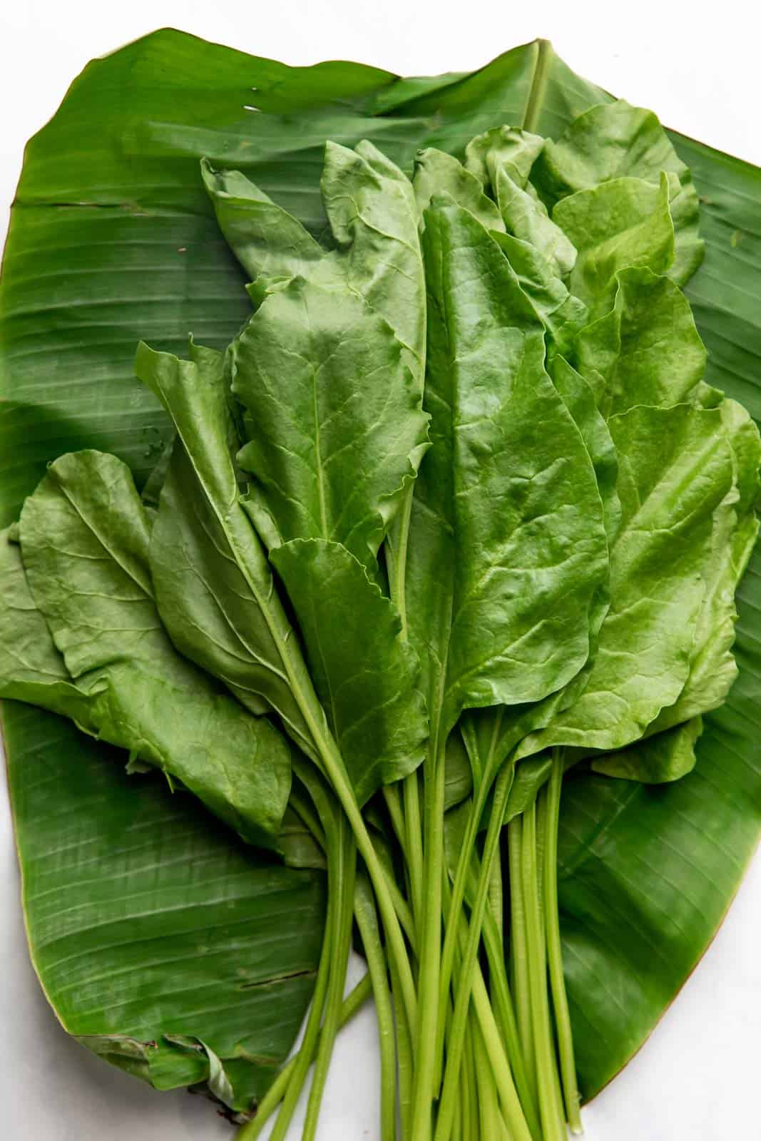 Raw spinach on a banana leaf