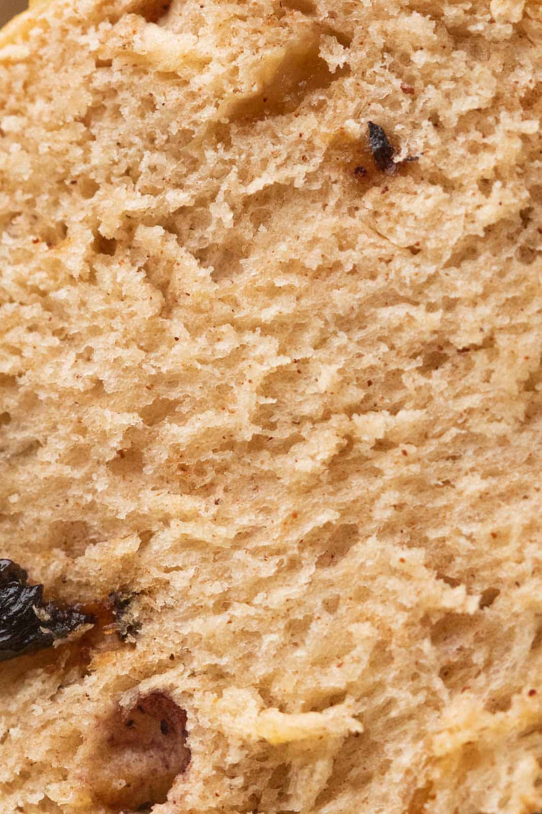 Closeup of the crumb of hot cross buns