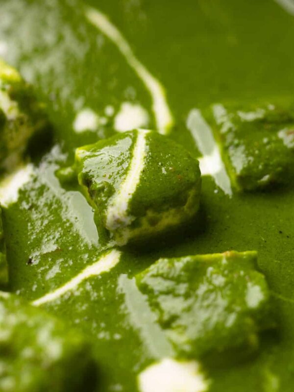 Closeup of palak paneer with cream drizzled on top