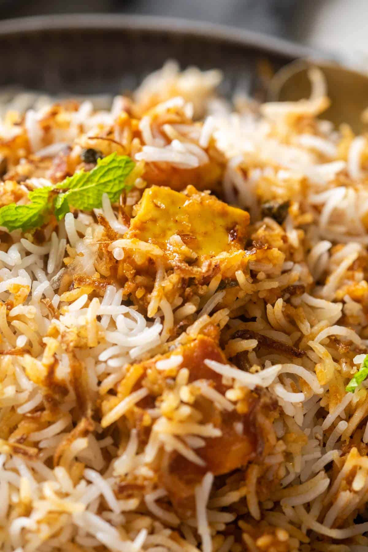 Closeup of paneer makhani biryani to show the textures of rice and paneer