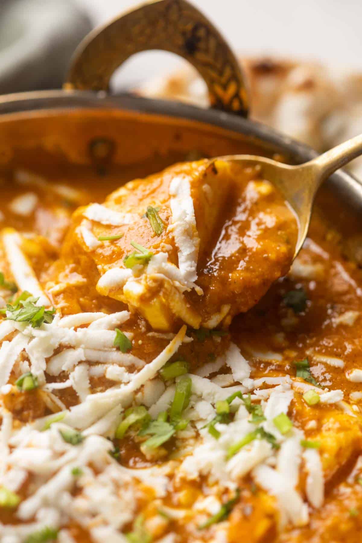 Close up of a spoonful of paneer lababdar being taken out for serving