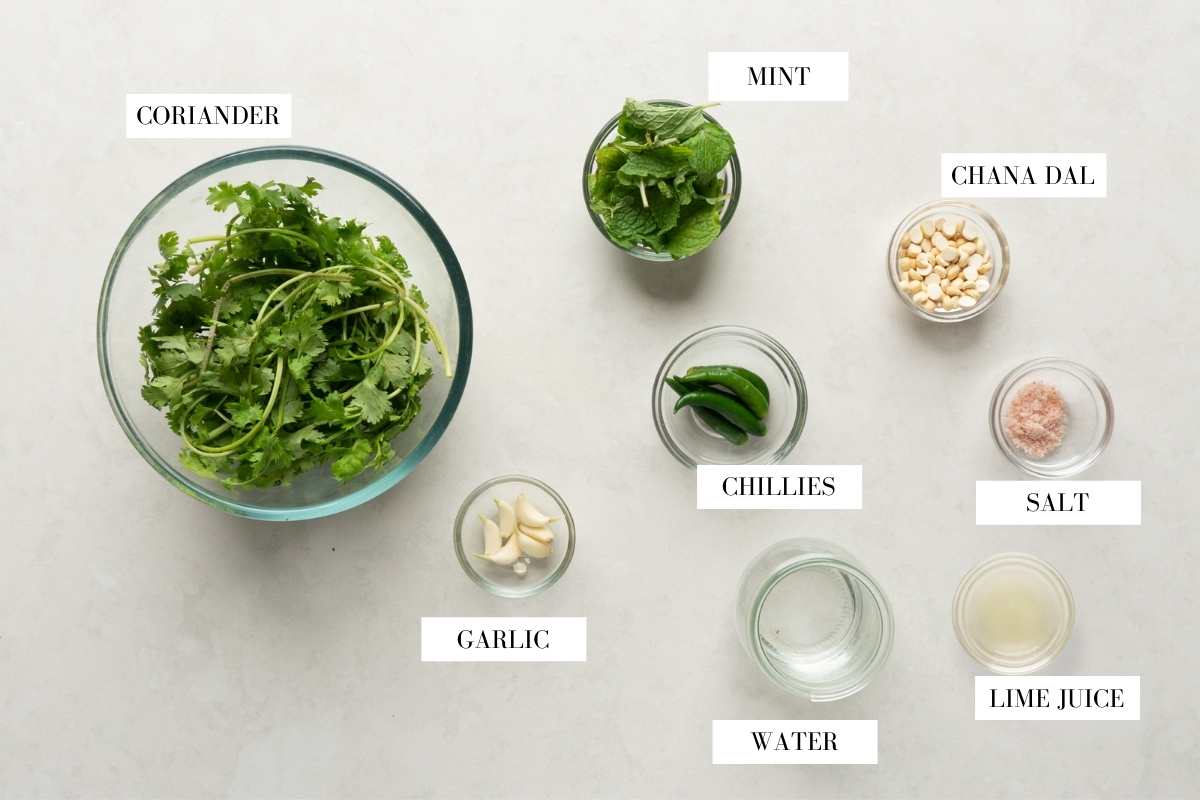 Picture of all the ingredients required for chutney with text
