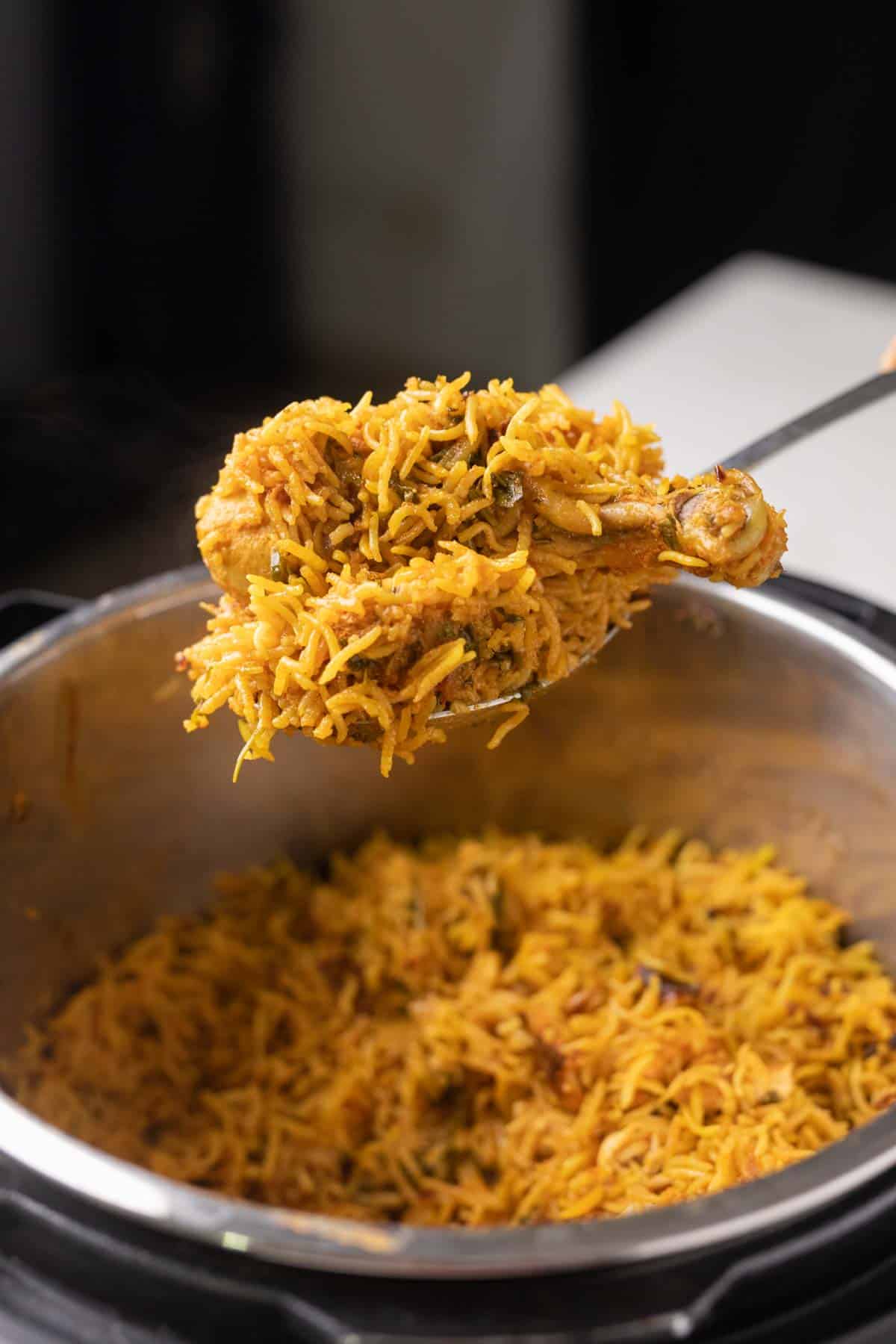shot of a spoon full of chicken biryani in the instant pot