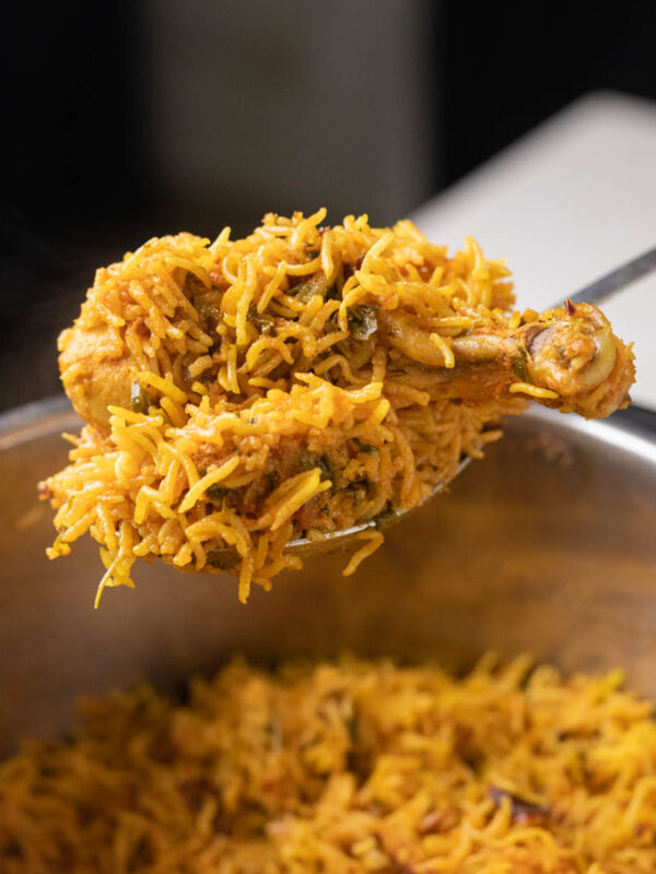 shot of a spoon full of chicken biryani in the instant pot