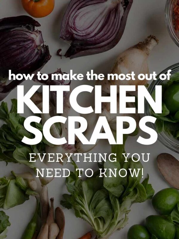 Picture showing kitchen scraps with text overlay